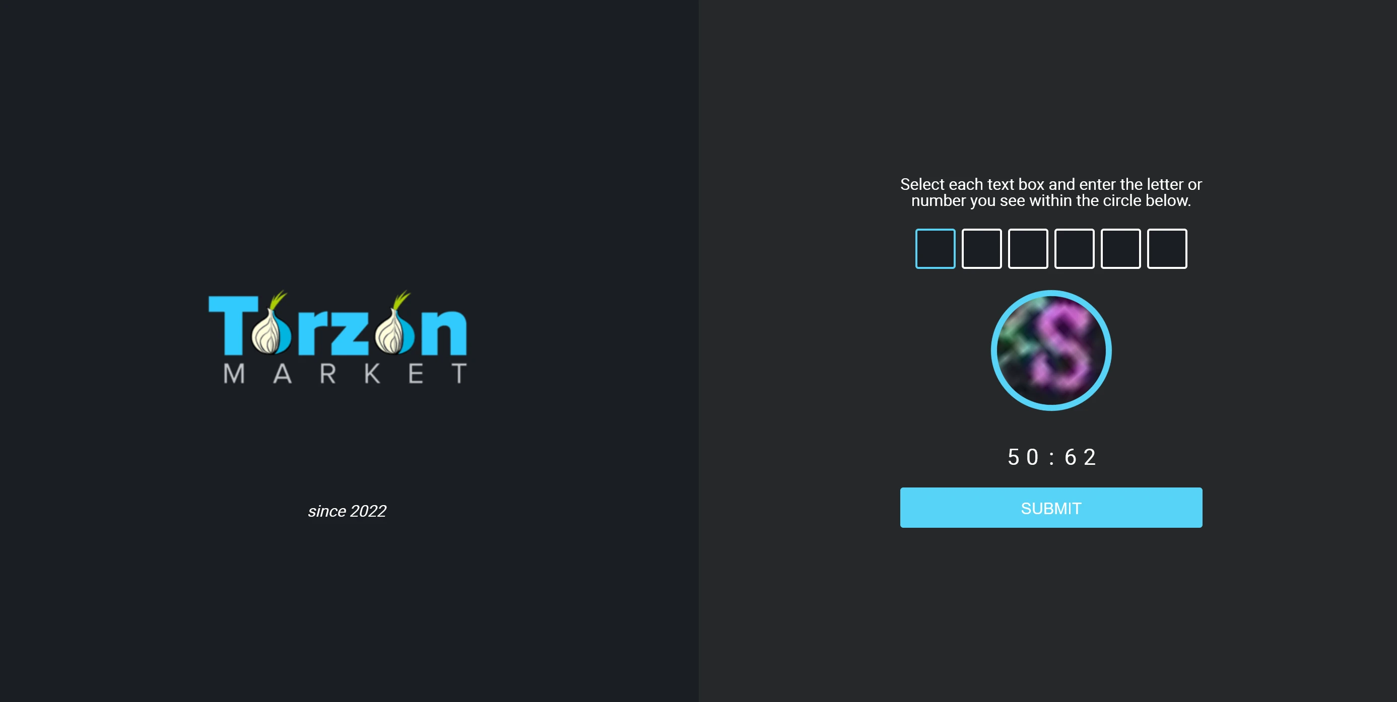 TorZon Darknet Captcha Verification — Anti-Bot Security Protection on TorZon Market